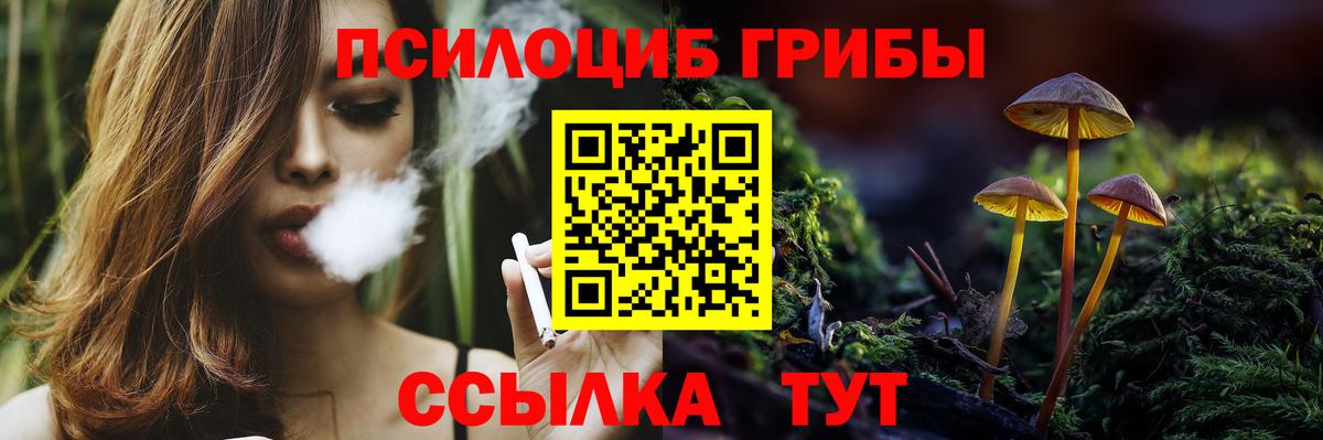 Псилоцибиновые грибы мухоморы  Псилоцибиновые грибы мухоморы  Вход с VPN  купить наркотики цена  Сарапул 